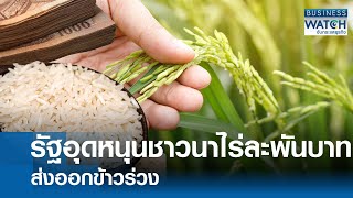 รัฐอุดหนุนชาวนาไร่ละพัน-ส่งออกข้าวร่วง | BUSINESS WATCH | 27-02-68