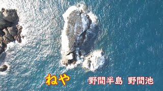 野間半島　野間池　米島周辺　ねや　釣り場　攻略のヒントに　YouTube　２１６０　４K　Ultra HD