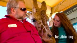 The Fossil Rim Experience