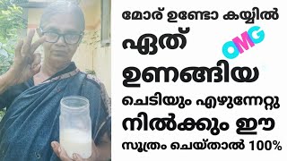 ഒരുഗ്ലാസ് തൈര് മതി പാവയ്ക്കാ നൂറ് മേനി വിളവെടുക്കാൻഉറപ്പ് ഇന്ന് എന്റെ ലൈവ് 9മണി ക്കാണ് എല്ലാവരും