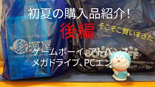 4月5月に買った大量のレトロゲームを一気に紹介していくよ！ 後編『 ゲームボーイ、メガドライブ他』