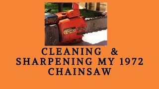 How to: clean and sharpen a 35 year old chainsaw