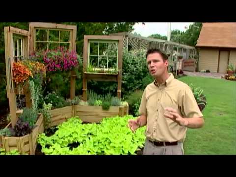 The Window Box Garden The Window Box Garden