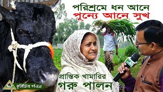 415- পরিশ্রমে ধন আনে পুন্যে আনে সুখ, প্রান্তিক খামারি কি ভাবে গরু পালন করে দেখুন।চিত্রপুরী কৃষিচিত্র