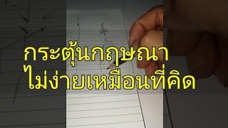 กระตุ้นกฤษณา400ต้นไม่ง่ายเหมือนที่คิดถ้าใช้สารกระตุ้นผิดอย่าตัดทิ้ง ขายสูตร5แสนบาทเพื่อกำไร40ล้าน(2)