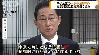 岸田総理　経済対策に人手不足解消を盛り込む考え(2023年10月5日)