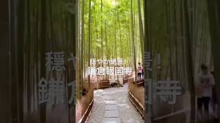 【穏やか絶景！】　鎌倉の癒しスポット報国寺Kamakura Hokokuji  Bamboo Temple