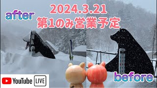 【🐻ラジM】2024.3.21/全てを埋め尽くす勢いの大雪/本日、第1のみ営業予定