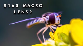 7Artisans 60mm F2.8 Macro Lens Review - Affordable and Impressive and Great for Beginners!