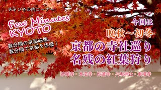 【京都･紅葉狩り～Autumn leaves in Kyoto】妙顕寺・本法寺・妙蓮寺・八坂神社・東福寺「晩秋～初冬、京都の寺社巡り。名残の紅葉狩り～銀杏の黄葉も～」