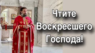 ХРИСТОС - ЕДИНСТВЕННЫЙ ПОБЕДИТЕЛЬ СМЕРТИ. Отец Андрей Ткачёв