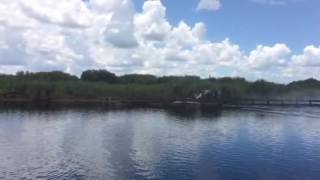 Airboat crossing dam at lake washington and St. Johns river