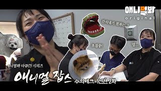 😅반전 주의😅 나는 내기 테크니션은 없는 수의테크니션이다 [애니멀잡스 EP.10]ㅣVeterinary Technicians’ Joyful Breaktime