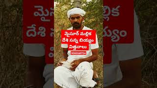 baparao #baparao🌾athota baparao 🌾 బాపరావ్ #bapanna organic farmer 🌾 bapanna natural farmer 🌾 bapanna