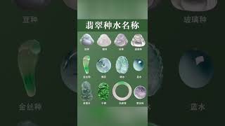 翡翠 种水现在还有谁认不全，快来学习一下#玉 #珠宝 #知识#玉石 #翡翠 #a货翡翠 #缅甸 #玉石#壹品翡翠#shorts