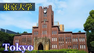 東京大学 のある街、本郷三丁目 を散策　（東洋学園大学 ～ 東大・安田講堂）　　（文京区）🌞 3D高音質・イヤホン推奨　　【睡眠用】