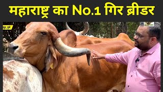 #Maharshtra में गुजरात से शानदार #Gir गाय👍28 ली. दूध, All Horn Types Cow | Majid Khan pathan |