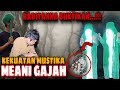 🔴LIVE RADITANNA MURKA HAJAR KI SINTING & MUNCULNYA WALIYULLAH FULLAN BIN FULLAN || raditanna