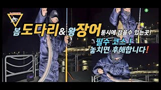 봄도다리 포인트 원투낚시 밤낚시  도다리&장어 동시에 잡을수 있는곳!