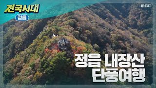 [전국시대] 정읍 내장산 단풍여행 (정읍)