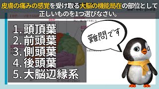 【難問】介護福祉士国試過去問解説｜こころとからだのしくみ