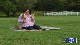 VIDEO: Noted dog breeder arrested for animal cruelty after dozens of dogs found to be living in