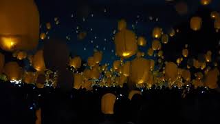 lantern festival　ランタン祭り