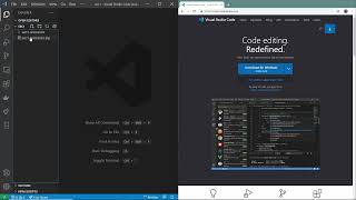 Section 2-2: Editor Setup - React & TypeScript Chrome Extension Development