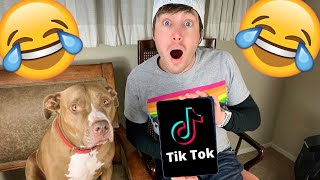 OUR BEST TIKTOKS VOL. 3 | Robby and Penny