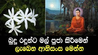 බුදු රදුන්ට මල් පුජා කිරීමෙන් ලැබෙන ආනිසංස මෙන්න