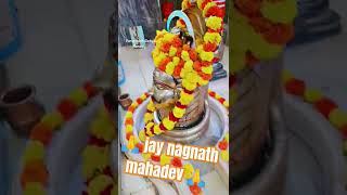 🙏🚩 jay nagnath mahadev 🙏🚩🚩🚩