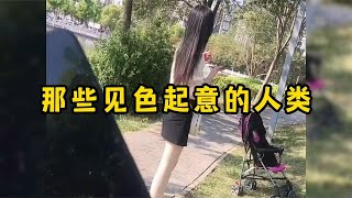 那些见色起意的人类，就不能收敛一点吗，太明显了吧