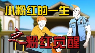 小粉红猴子的一生，考公篇（下）之粉红觉醒｜小粉红的一生｜外卖员｜山道猴子｜wojak