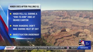 Hiker dies after falling ill during ‘rim-to-rim’ hike at Grand Canyon