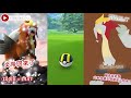 銀色菠蘿還能這樣入手！炎帝田野任務詳解！ pokemon go 精靈寶可夢 rios arc 弧圓亂語