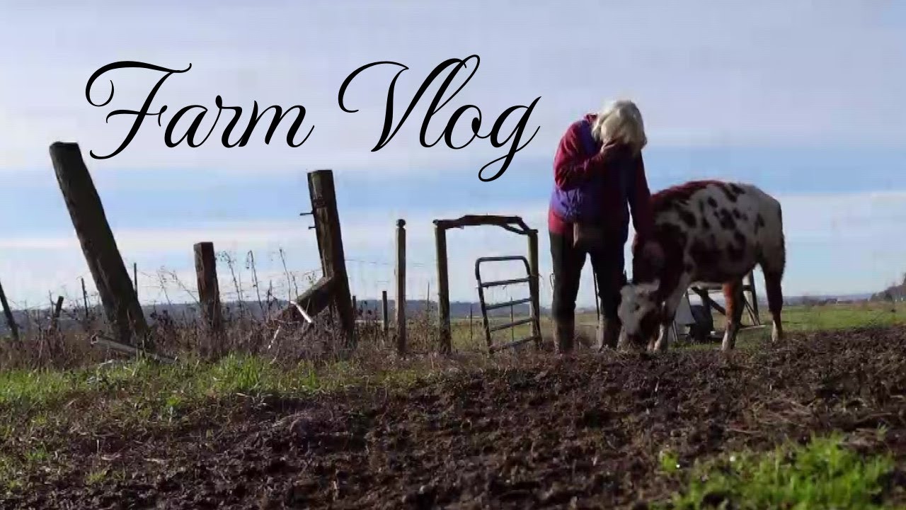 Farm Vlog Youtube
