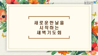 [늘샘교회] 새벽기도회 설교 I 2024.11.12.(화)