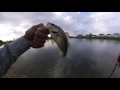 chrome rattle trappin pond fishing ep.2