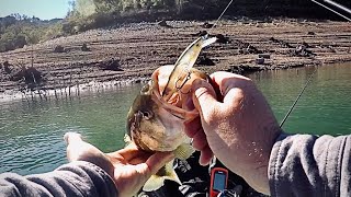 Another Winter Day | Fishing Lake Sonoma (*cold water bass fishing*)