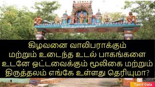 கிழவனை வாலிபாராக்கும் மற்றும் உடைந்த உடல் பாகங்களை உடனே ஒட்டவைக்கும் மூலிகை மற்றும் திருத்தலம்