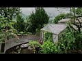 南阿蘇鉄道・トロッコ列車の旅 雨天決行