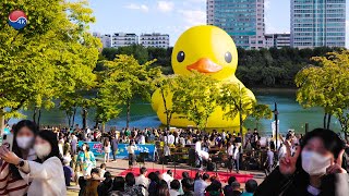 Seoul SEOKCHON LAKE Landing Project 'RUBBER DUCK', 2022 Youth Coffee Festival, Seoul Travel Walker.