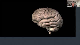 Brain Computer Interface - The Future Frontier of Neurosurgery