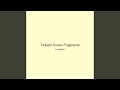 Twilight Ocean Fragments