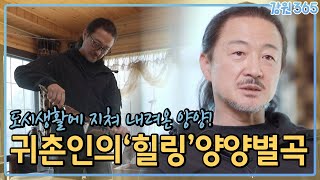 귀촌인 조승범 씨의 양양별곡 / MBC강원영동 240508 방송