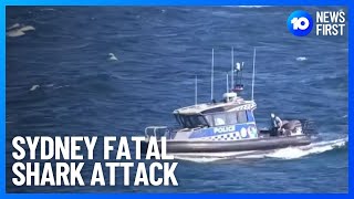 Shark Attack Tragedy | 10 News First