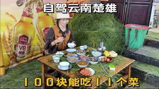 云南最有性价比的过冬地，野生菌王国楚雄，吃11个菜才100块【七哥和露露】#房车旅行 #云南旅游