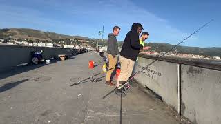 (Late Season) Dungeness Crabbing At Pacifica Pier 2024|SPOKEN OUTDOORS|