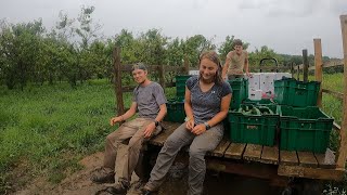 Getting Drenched - A Day in the Life on a Massachusetts farm