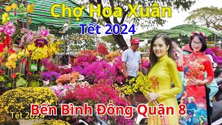 Tưng bừng Chợ hoa xuân Bến Bình Đông 22 tết 2024 |Giá mai, hoa giấy rẻ chưa từng thấy